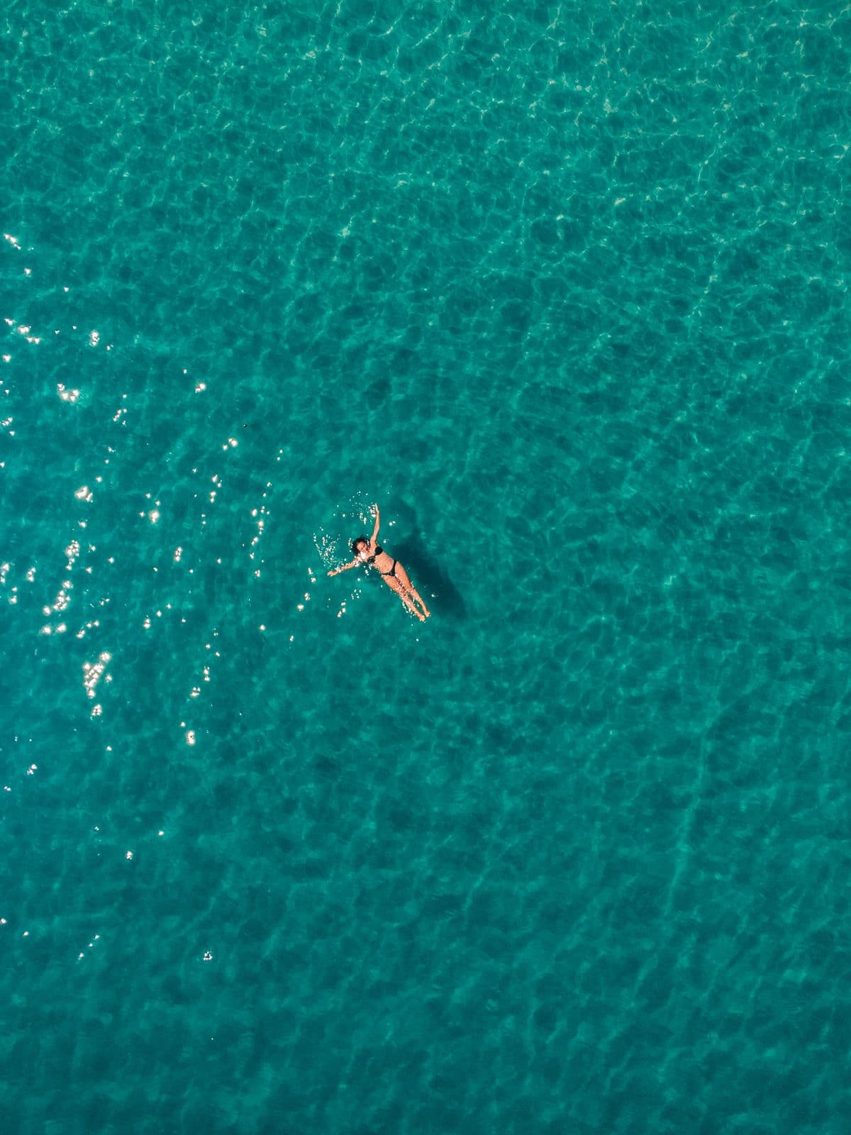 The shoreline